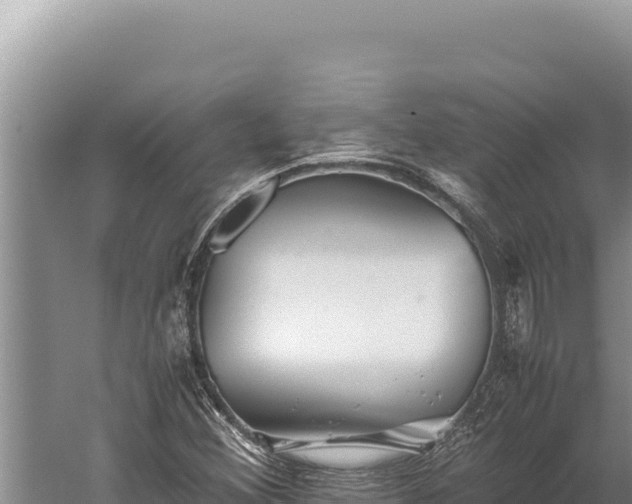 X0000059801356200510281628