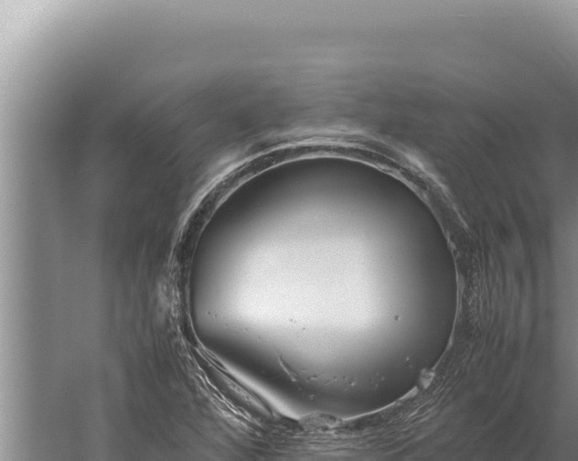 X0000059801360200510281628