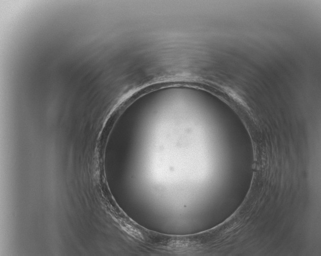 X0000059801364200510281628