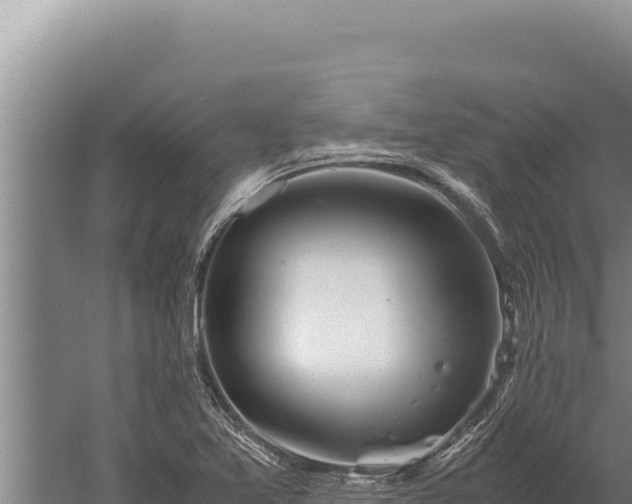 X0000059801365200510281628