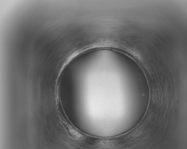 X0000059801366200510281627