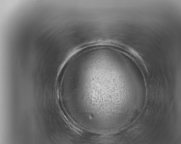 X0000059801368200510281627