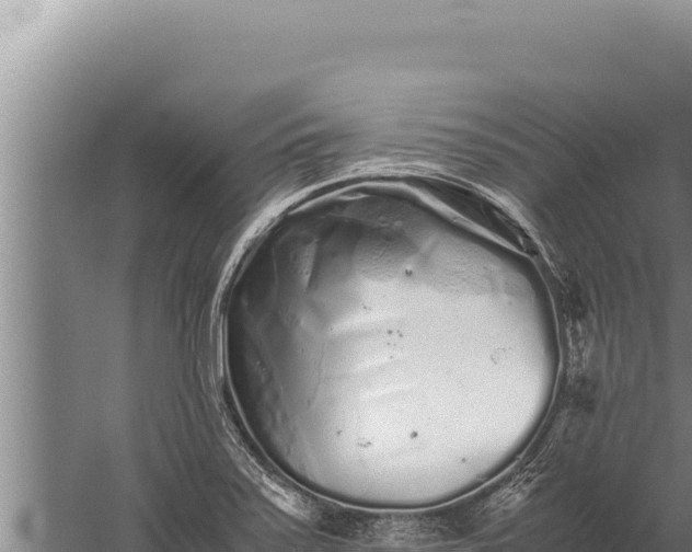 X0000059801371200510281627