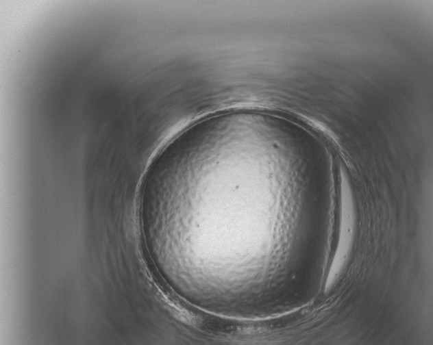 X0000059801375200510281627