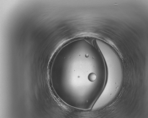 X0000059801376200510281627