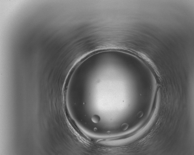 X0000059801380200510281627