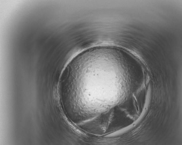 X0000059801382200510281627