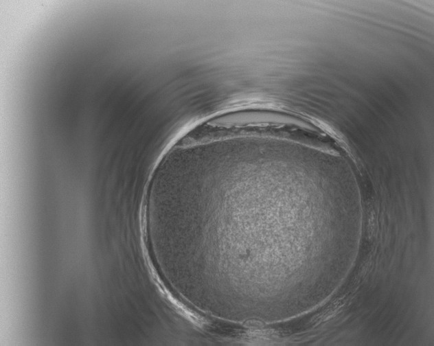 X0000059801383200510281627