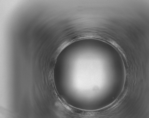 X0000059801385200510281627