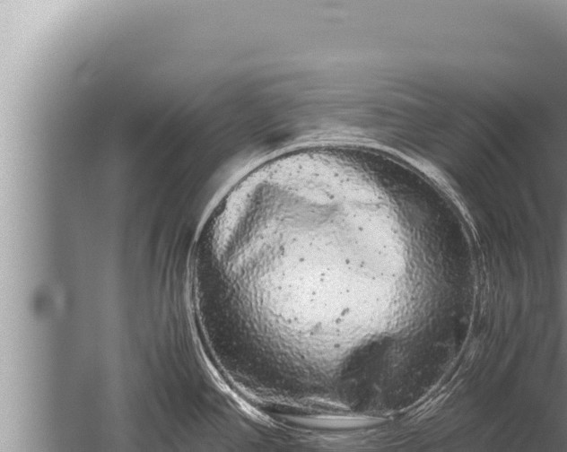 X0000059801390200510281627