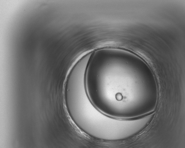 X0000059801392200510281627