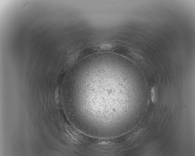 X0000059801395200510281626