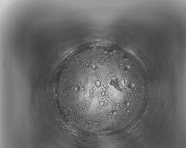 X0000059801399200510281626