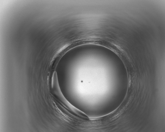 X0000059801402200510281626