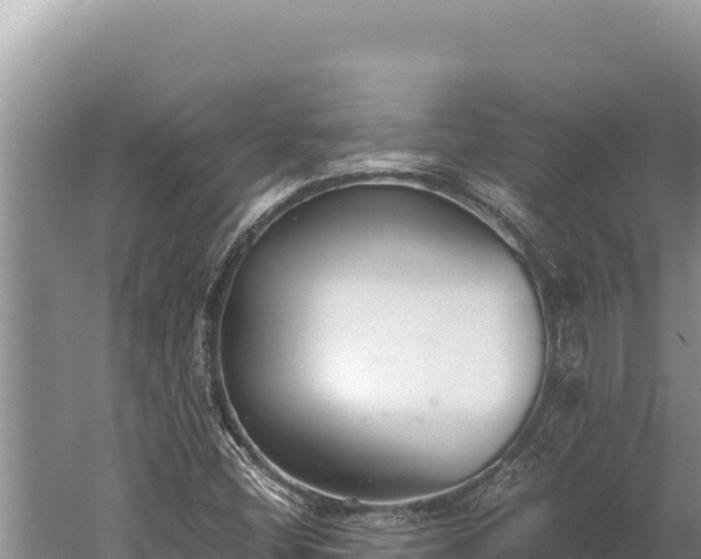 X0000059801404200510281626