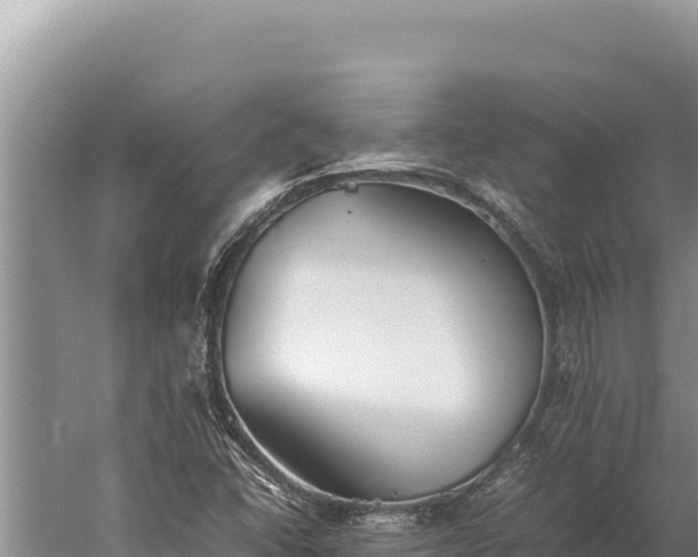 X0000059801406200510281626