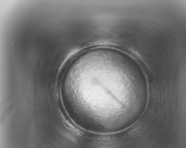 X0000059801408200510281626