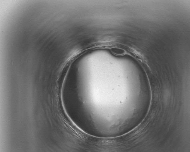 X0000059801411200510281627