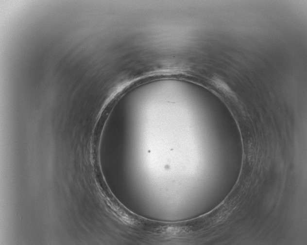 X0000059801412200510281627