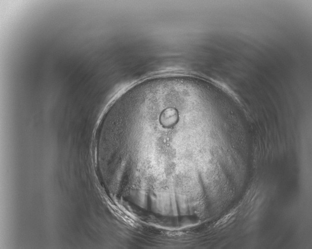 X0000059801413200510281627