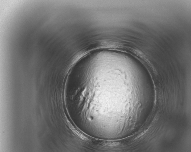 X0000059801417200510281627