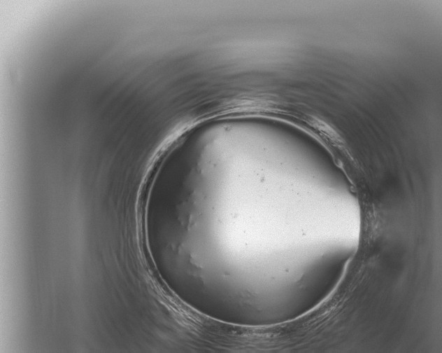 X0000059801419200510281627