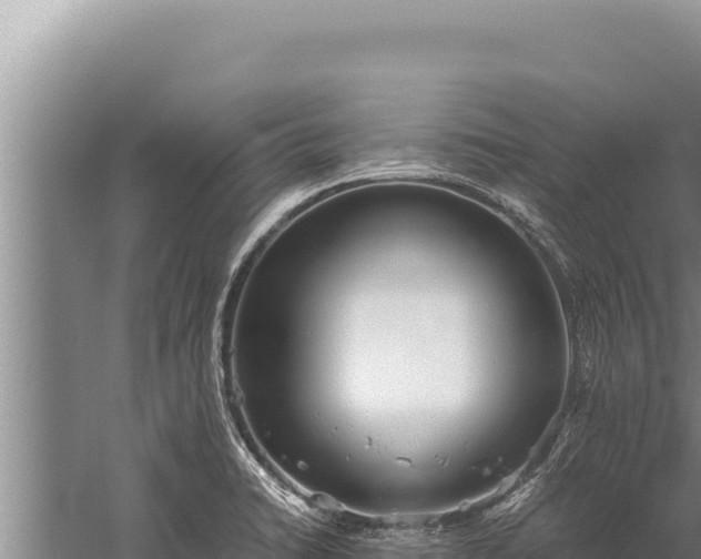 X0000059801422200510281627