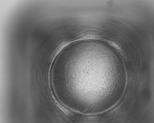 X0000059801423200510281627