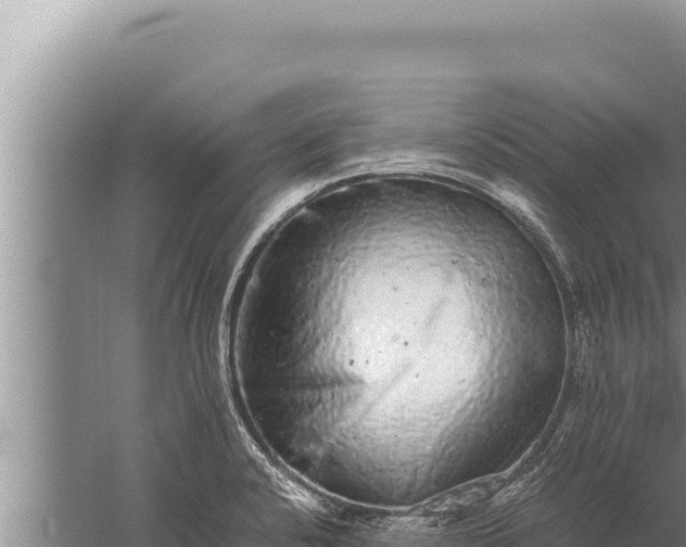 X0000059801424200510281627