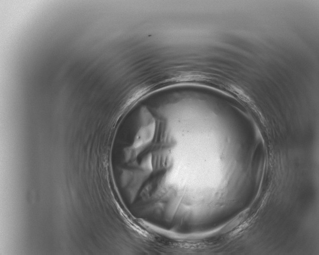 X0000059801425200510281627