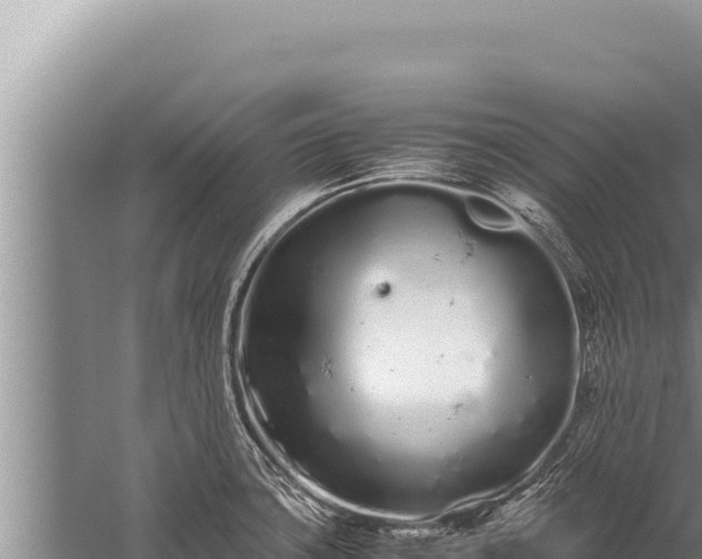 X0000059801427200510281627