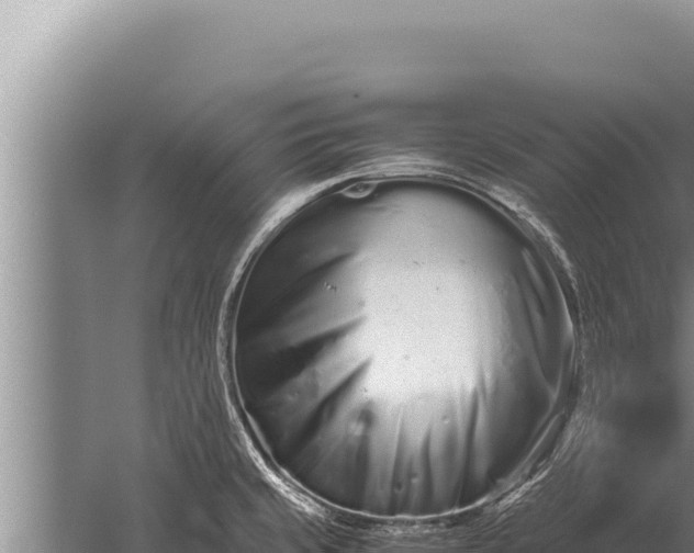 X0000059801429200510281627