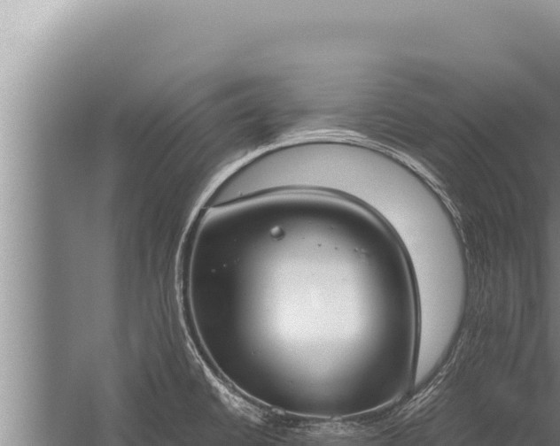 X0000059801430200510281627