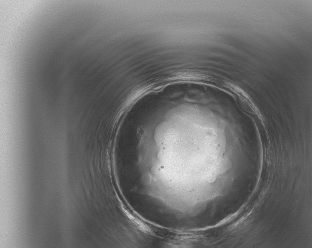 X0000059801433200510281627