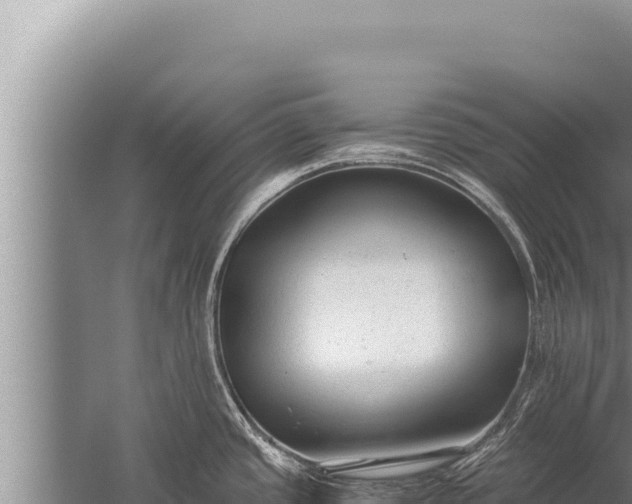 X0000059801437200510281627