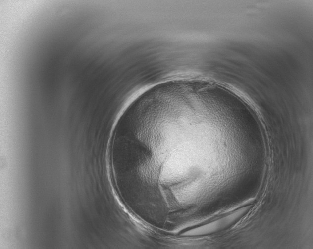 X0000059801440200510281627