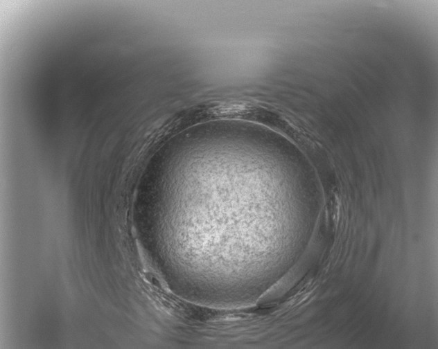 X0000059801441200510281626