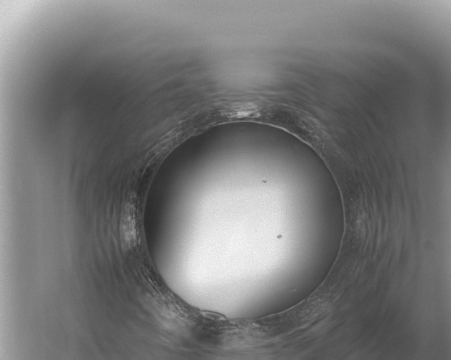 X0000059801442200510281626