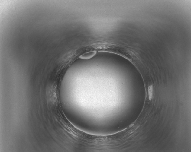 X0000059801444200510281626