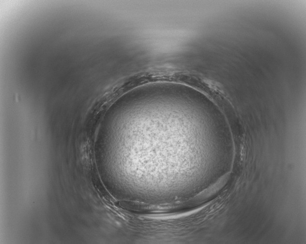 X0000059801445200510281626