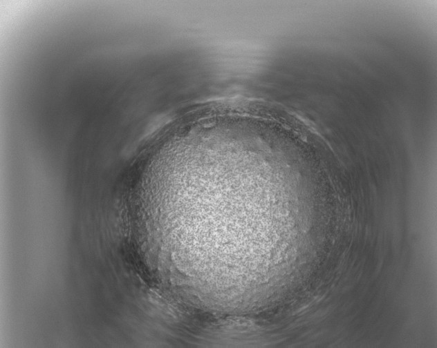 X0000059801446200510281626