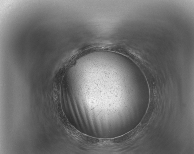 X0000059801447200510281626