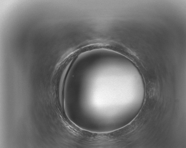 X0000059801448200510281626