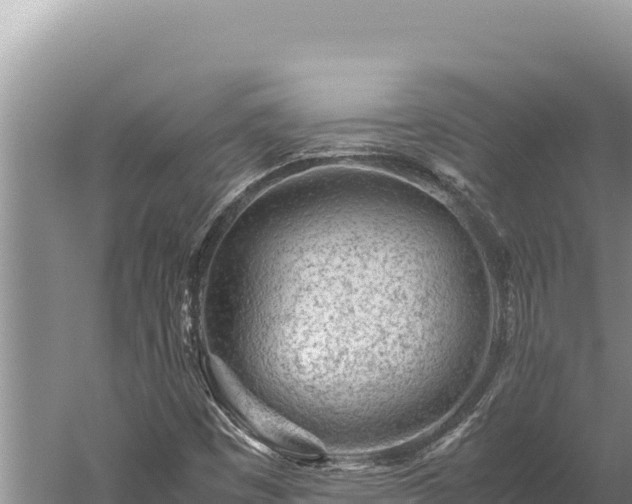 X0000059801449200510281626