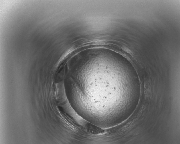 X0000059801450200510281626