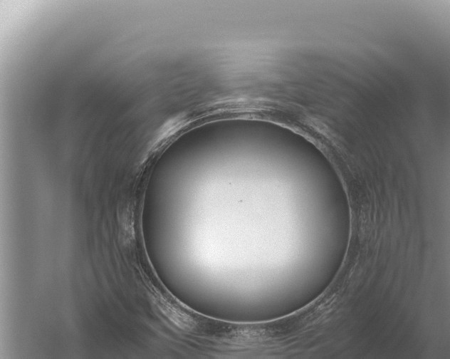 X0000059801451200510281626