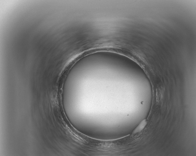 X0000059801452200510281626