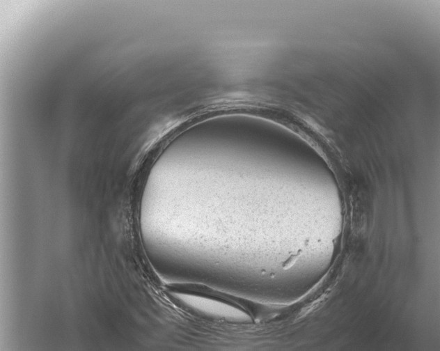 X0000059801453200510281626