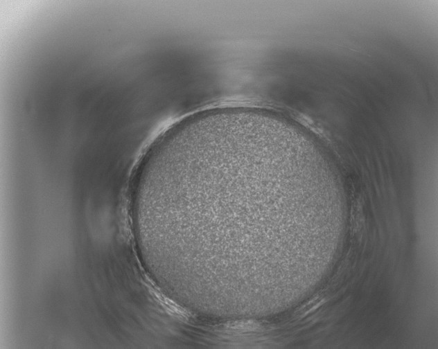 X0000059801454200510281626