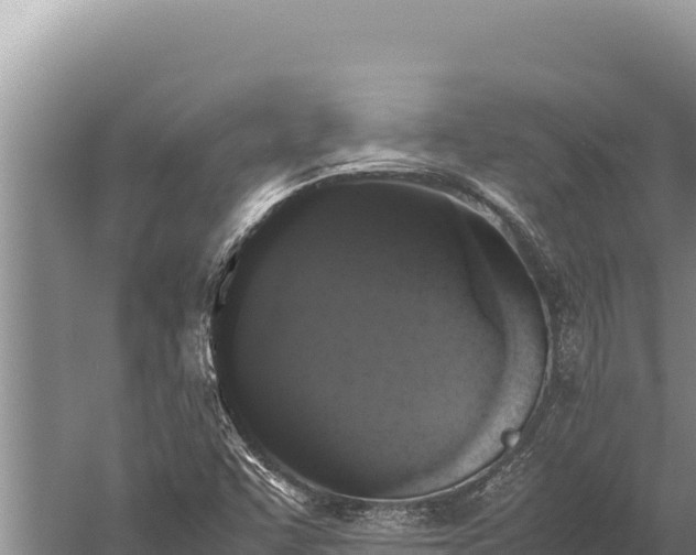 X0000059801455200510281626